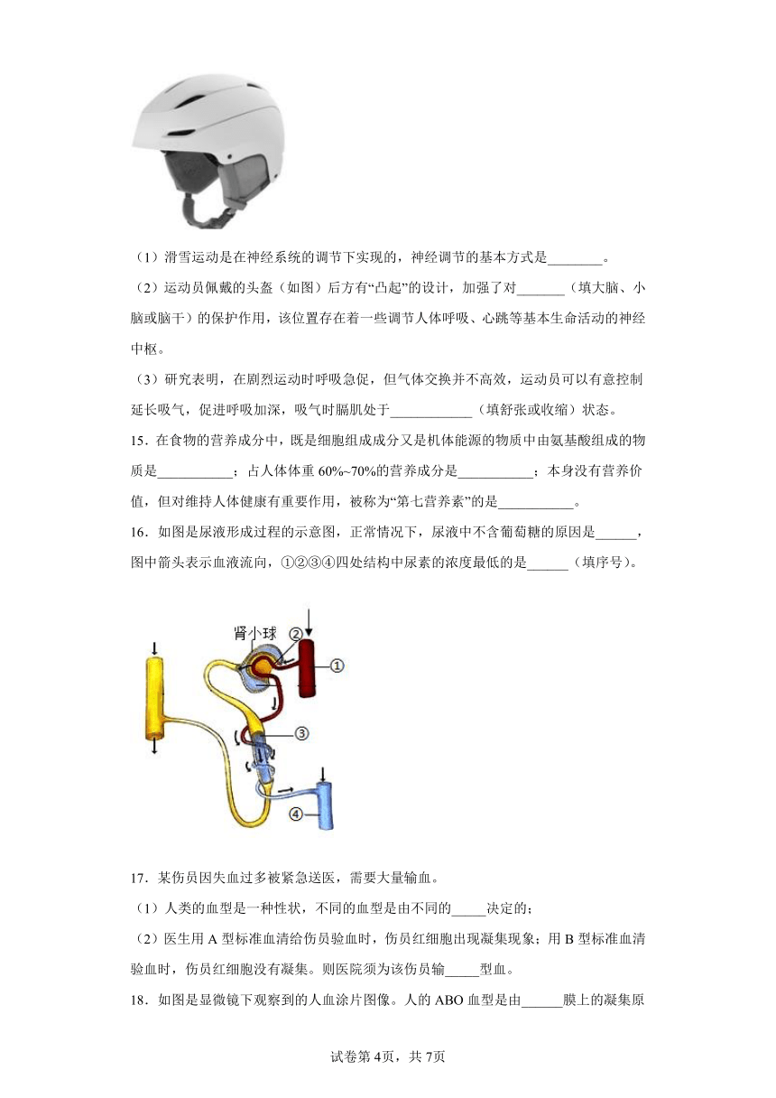 2022年浙江省中考科学专题练习：人体新陈代谢（含答案）