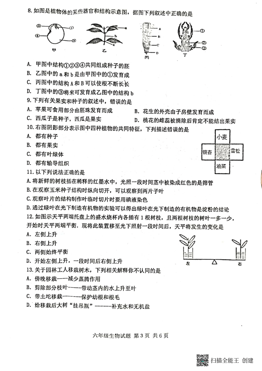 山东省泰安市东平县2021-2022学年六年级下学期期末质量检测生物试题（PDF版无答案）