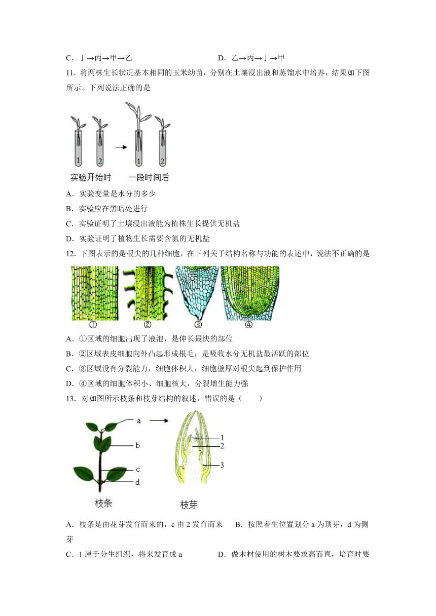 3.2.2植株的生长课后练习(word版含答案）2021—2022学年人教版七年级生物上册