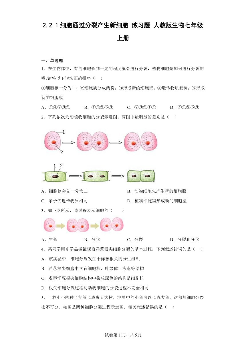 2.2.1细胞通过分裂产生新细胞练习题（含答案） 人教版生物七年级上册