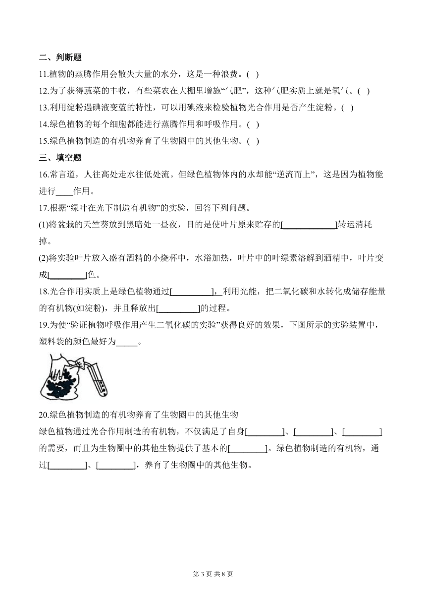 （4）生物圈中的绿色植物（二）——2024届中考生物一轮复习小题集训（含解析）