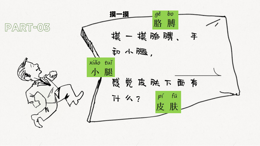 二年级下册科学教科版2.1观察我们的身体（课件）(共23张PPT)