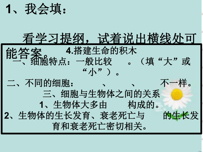 苏教版（2001）六年级科学上册 1.4 搭建生命体的“积木” （课件1,8张PPT）