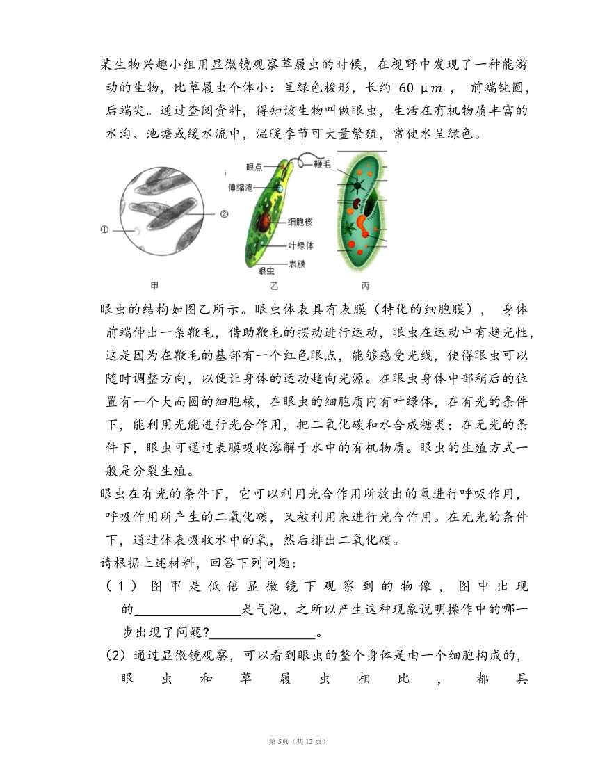 人教版七年级生物上册第二单元第二章 细胞怎样构成生物体随堂练习（word版含答案）