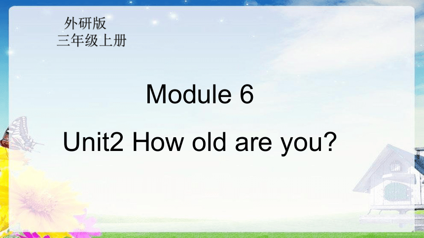 Module 6  Unit2 How old are you？课件（共29张PPT）