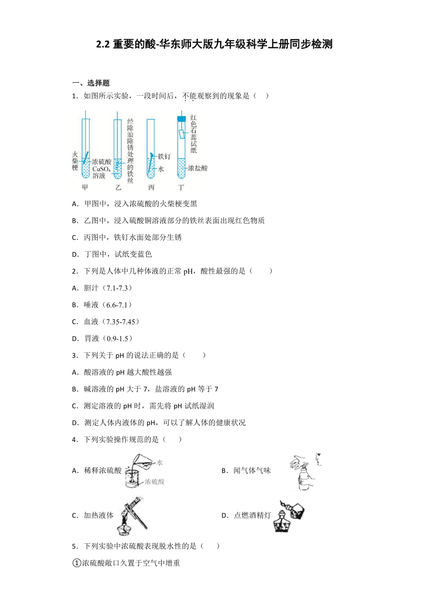 华师大版科学九年级上册 2.2 重要的酸 同步检测（含解析）