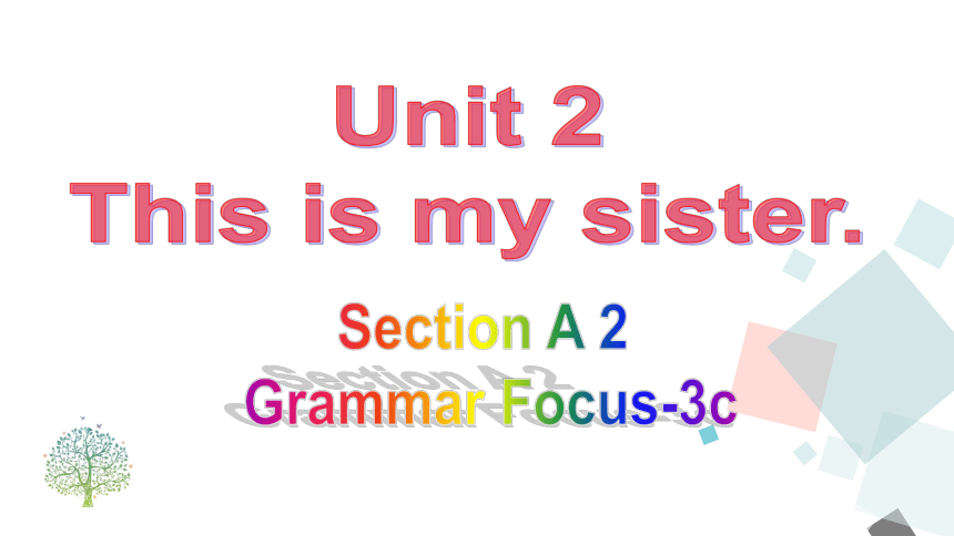 Unit 2 This is my sister　Section A(Grammar Focus-3c) 课件(共22张PPT)