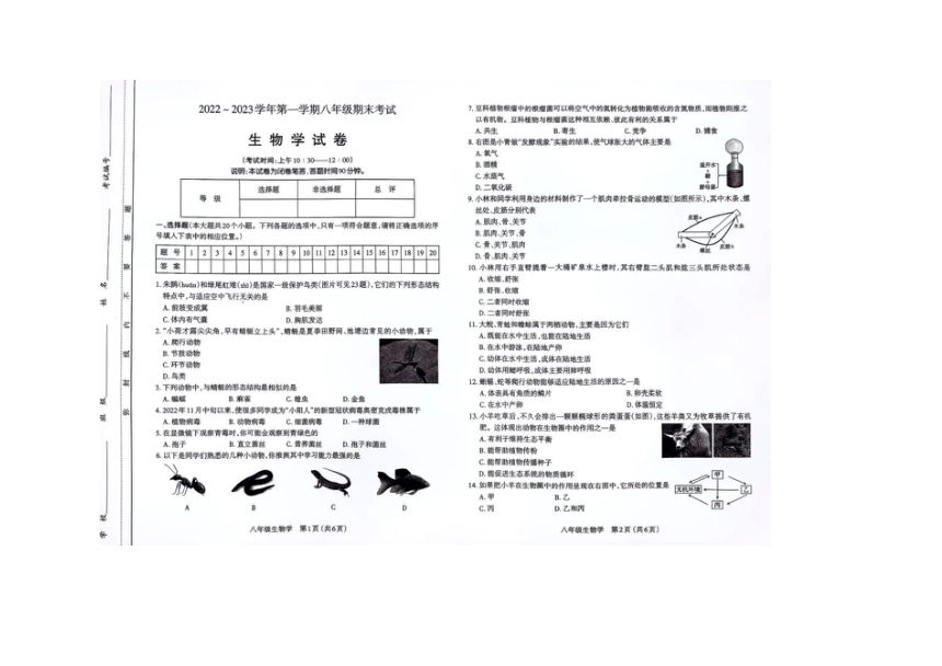 湖南省湘西泸溪县2022-2023学年八年级上学期八年级期末检测生物试卷（图片版含答案）