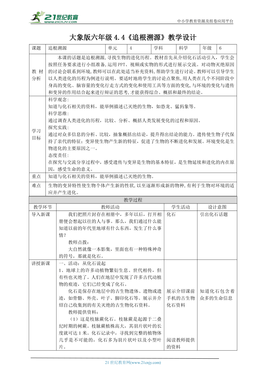 【核心素养目标】4.4《追根溯源》教案