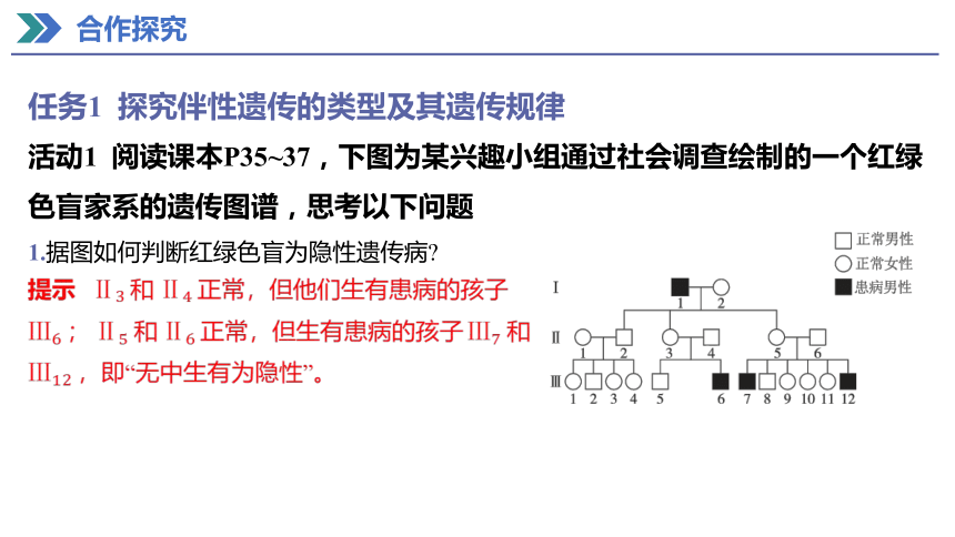 2.3 伴性遗传 课件(共40张PPT) 2023-2024学年高一生物人教版（2019）必修第二册