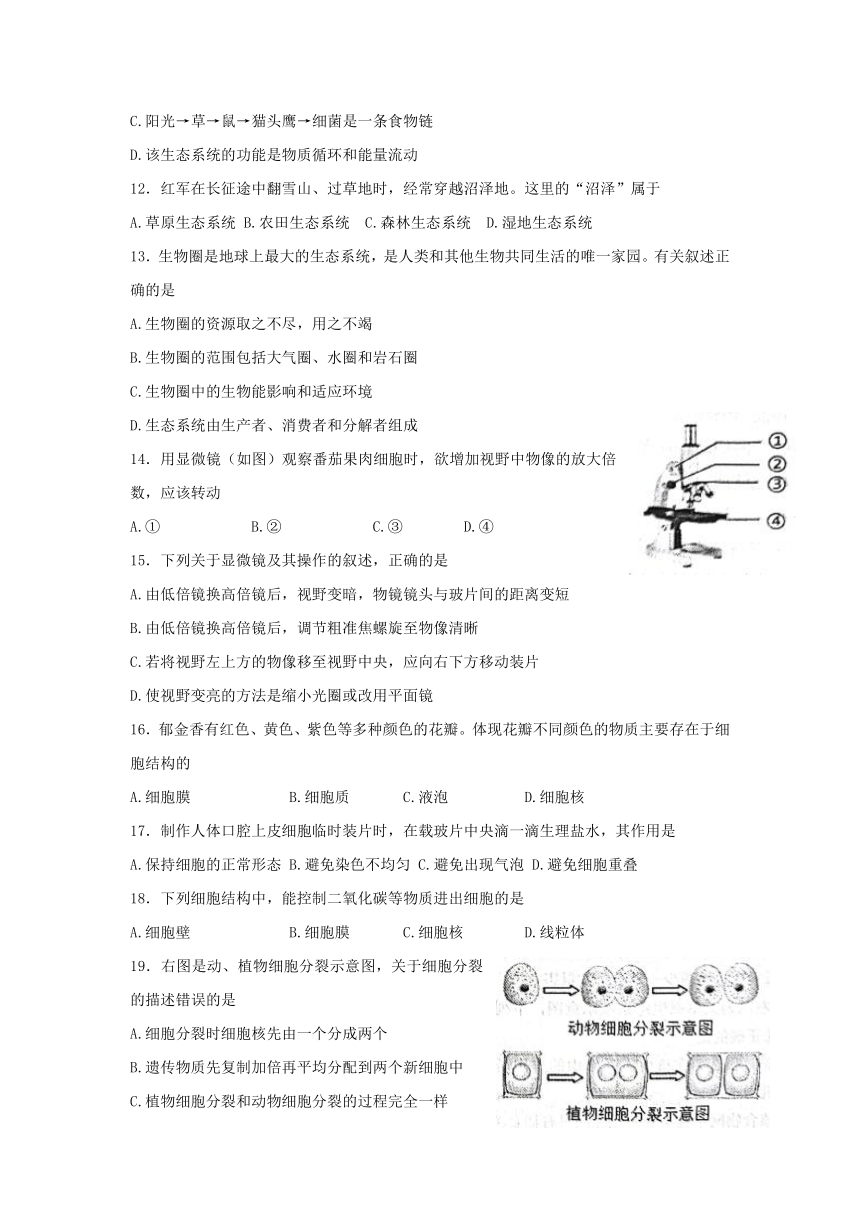 山东省东营市广饶县（五四学制）2021-2022学年六年级上学期期末生物试题（word版无答案）