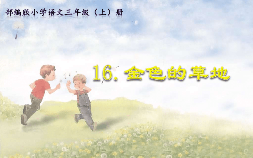 16金色的草地 第二课时（课件）(共22张PPT)