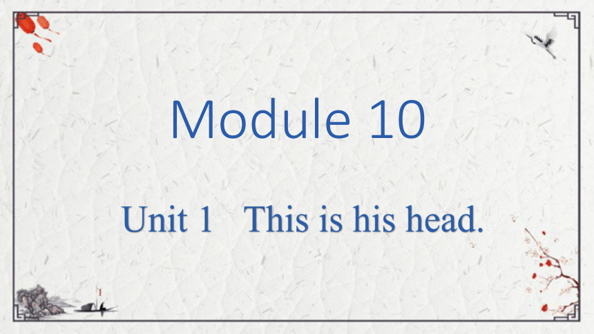 Module 10 Unit 1 This is his head.课件（共17张PPT)