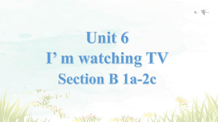 unit 6  I'm watching TV Section B 1a-2c课件＋音频(共46张PPT)人教版七年级英语