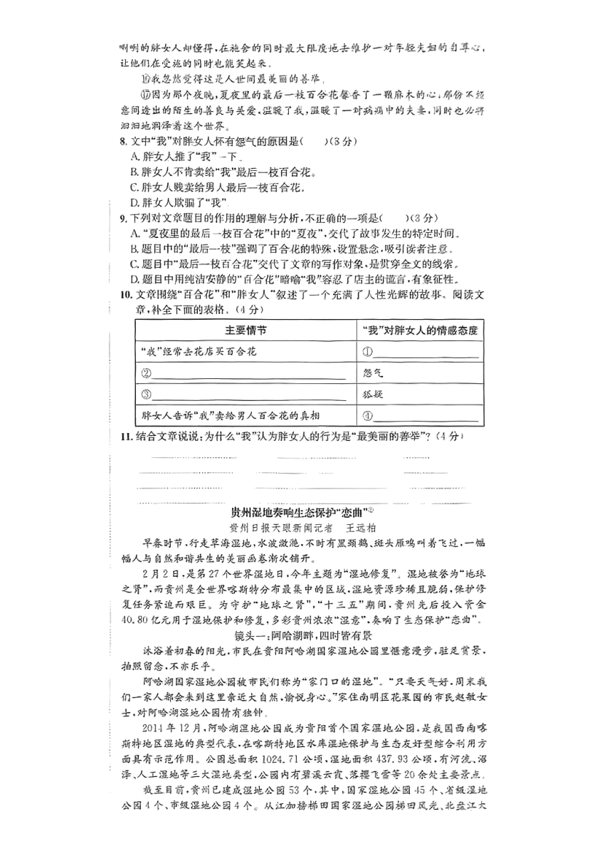 2024年贵州省贵阳市开阳县部分学校九年级下学期一模考试语文试题(图片版，无答案）