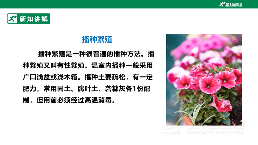 【新课标】浙教版七下项目二任务一《花卉的播种繁殖》课件