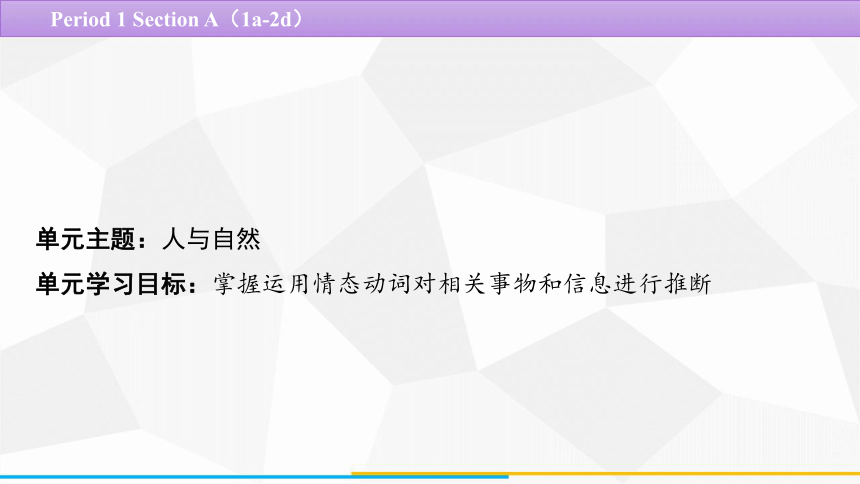 Unit 8 It must belong to Carla. Section A（1a-2d） 课件(共20张PPT) 2023-2024学年人教版英语九年级全一册