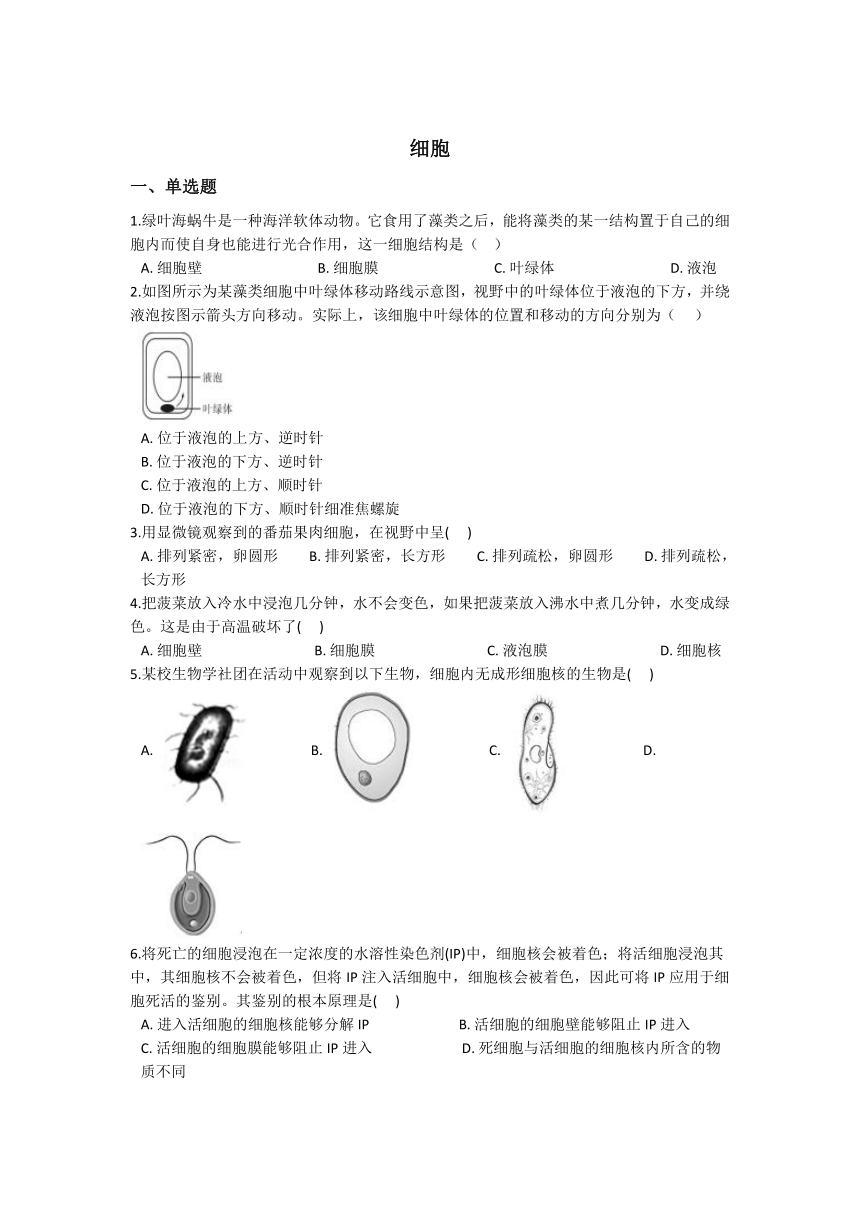 2.2 细胞 同步练习（含解析）