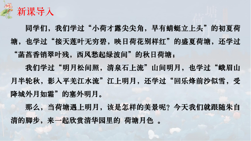 高中语文统编版必修上册14.2《荷塘月色》课件（共46张ppt）