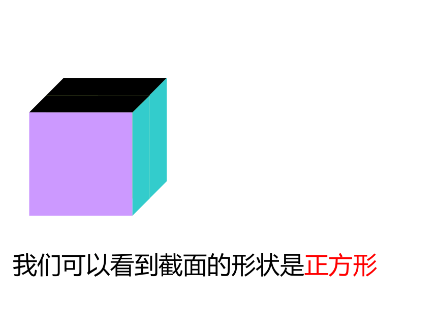 北师大版初中数学七年级上册-1.3 截一个几何体 课件 (共36张PPT)