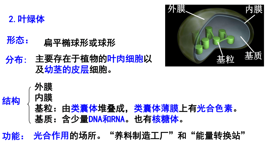 2021-2022学年高一上学期生物人教版必修一3.2细胞器之间的分工合作课件（44张）