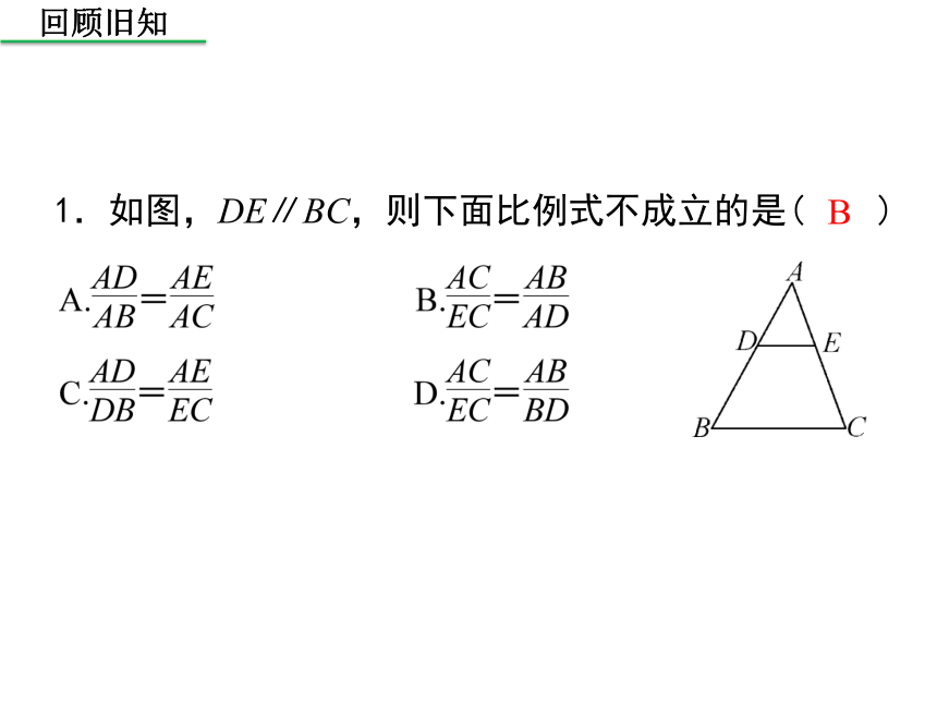 北师大版 数学九年级上册4.3相似多边形课件（共23张PPT）