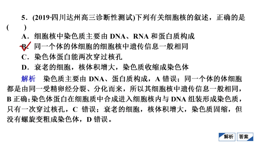 高考生物复习用卷：考点5 细胞核　细胞膜（共42张PPT）