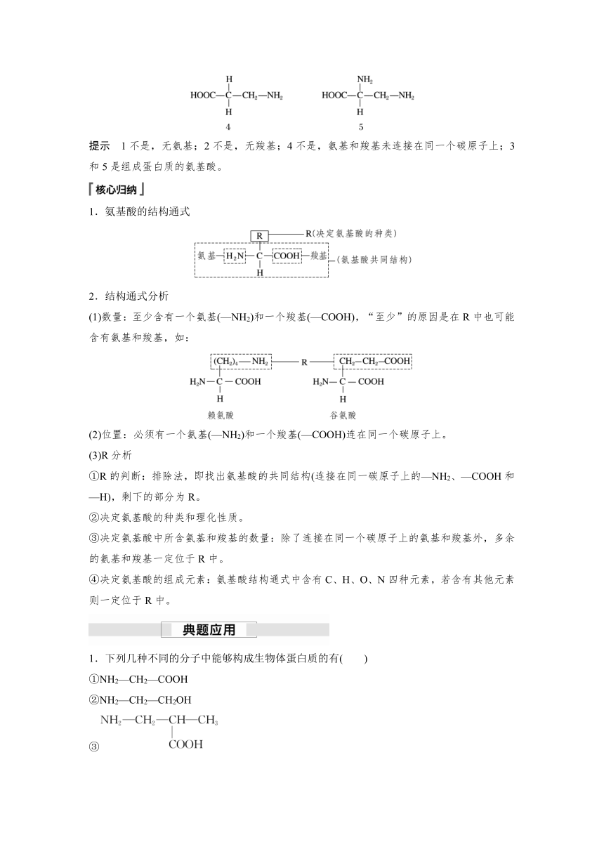 2022-2023学年苏教版2019高中生物必修1 第一章 第三节 第1课时　细胞的功能主要由蛋白质完成（学案+课时对点练 word版含解析）