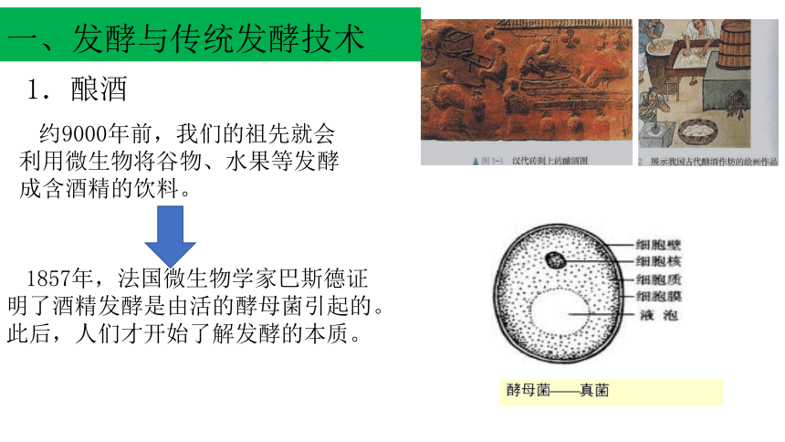 2020-2021学年人教版（2019）高二生物选择性必修三1.1 传统发酵技术的应用 课件 （共31张ppt）