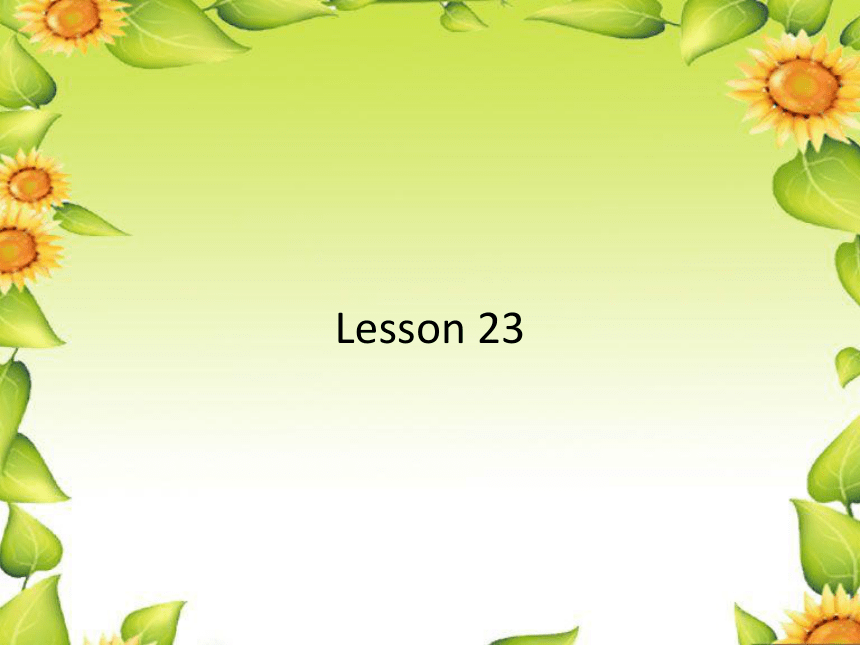 Unit4 Do you  like  candy？(Lesson23)课件（共32张PPT）