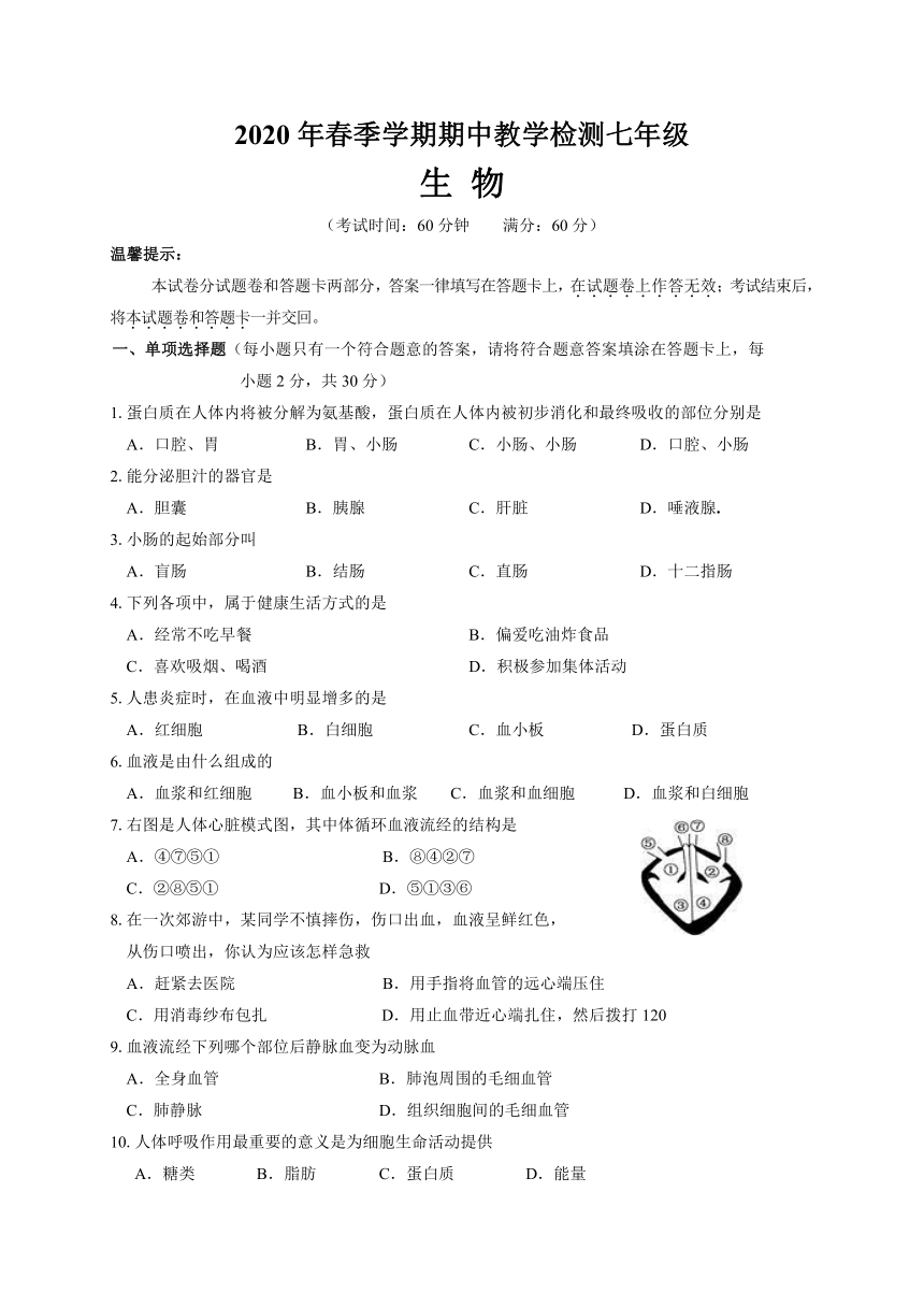 广西崇左市江州区2019-2020学年第二学期七年级生物期中考试试题（word版，含答案）