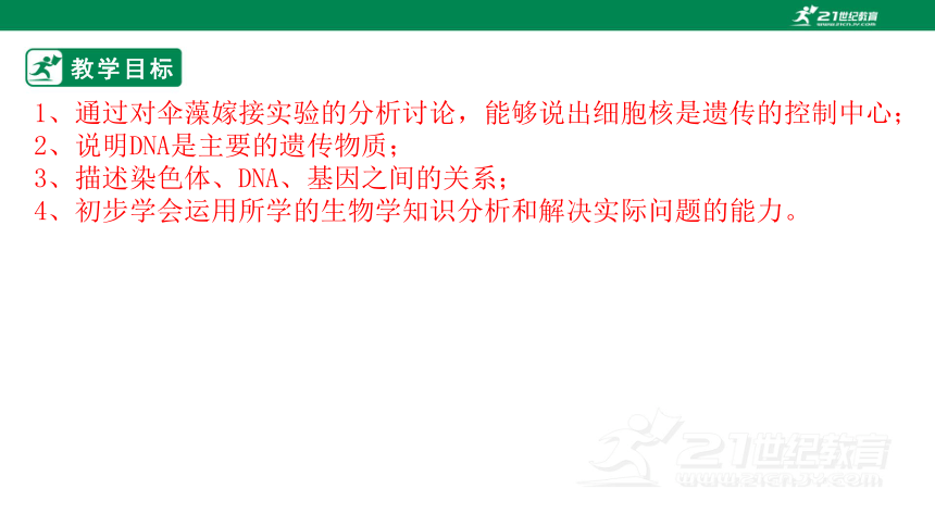 济南版4.4.1 遗传的物质基础-2022-2023学年八年级生物上册同步课件（含30张ppt）