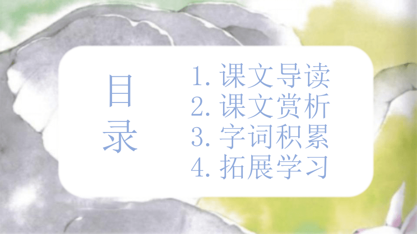 19 大象的耳朵 （课件）(共17张PPT)