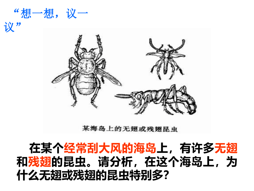 2021--2022学年人教版生物八年级下册7.3.3生物进化的原因课件(共43张PPT)