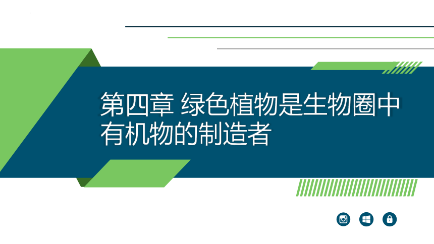 3.3.4  绿色植物是生物圈中有机物的制造者  课件-2023-2024学年人教版生物七年级上册(共22张PPT)