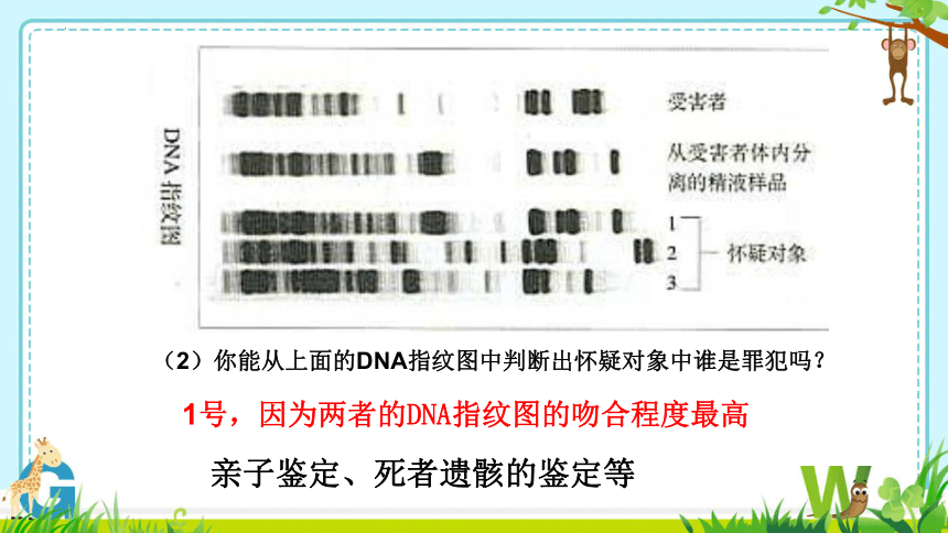 2.5 核酸是遗传信息的携带者课件-(共18张PPT)人教版必修1