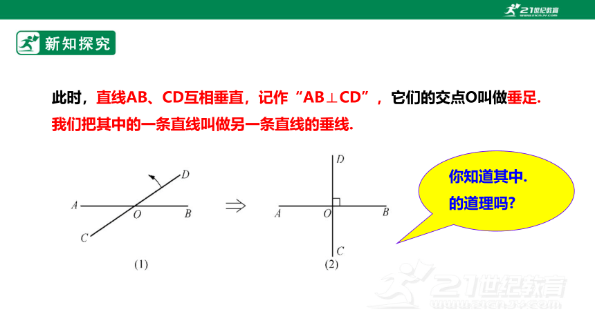 5.1.2  垂线 课件（共19张PPT）