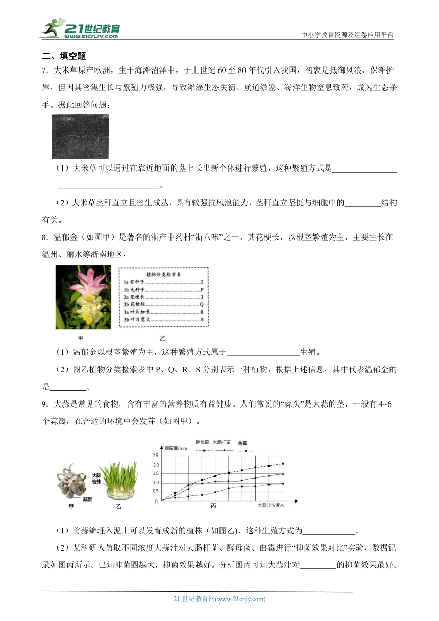 浙教版七下 1.5植物生殖方式的多样性 随堂练习（含解析）
