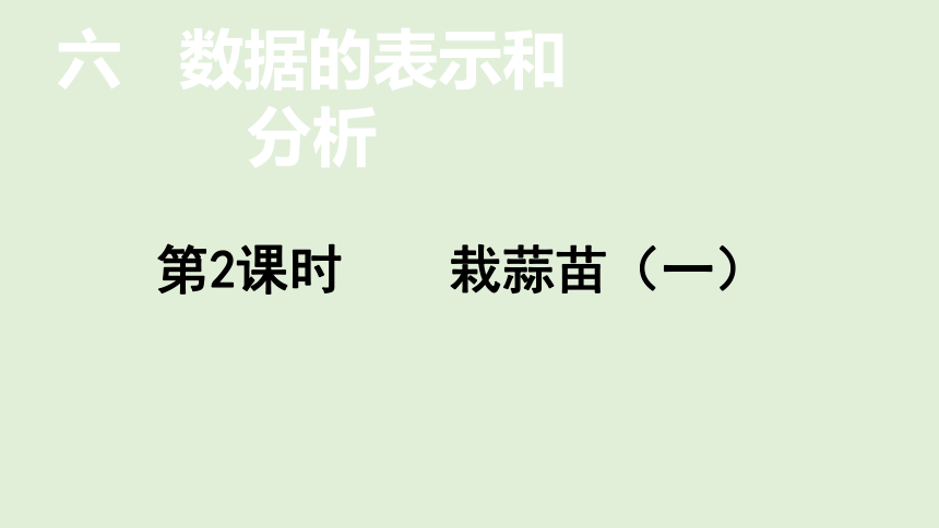 小学数学北师大版四年级下6.2栽蒜苗（一）  课件(共21张PPT)