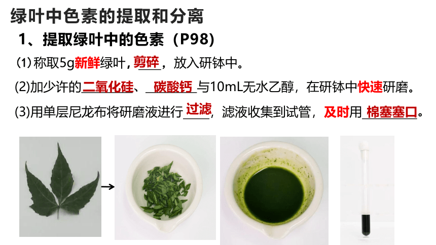 5.4光合作用与能量转化课件(共35张PPT有1份视频)2022—2023学年高一上学期生物人教版必修1