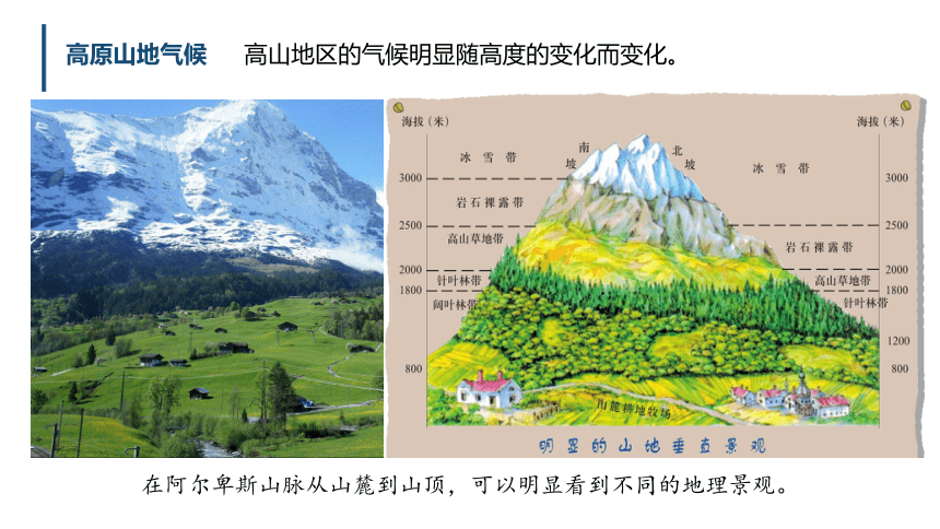 3.3世界气候类型 第3课时 高原山地、应用 课件(共16张PPT)2023-2024学年沪教版（上海）六年级地理第二学期