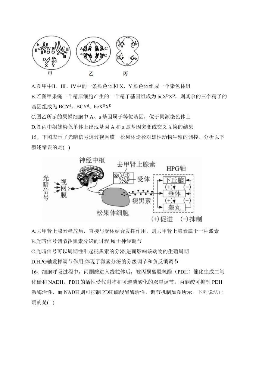 2023届新高考生物金榜猜题卷 【广东专版】（含答案）