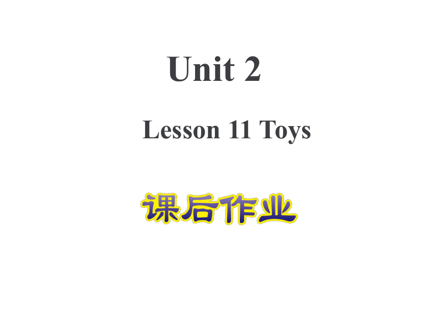 Unit 2 Lesson 11 Toys 课后作业课件(共14张PPT)