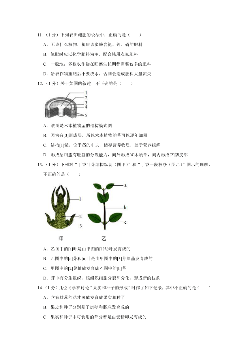 2019-2020山东省泰安市东平县六年级下册生物试卷（word版无答案）