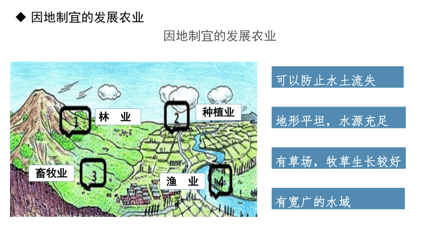 中图版地理七年级下册4.2.2《土地资源与农业》课件(共32张PPT)