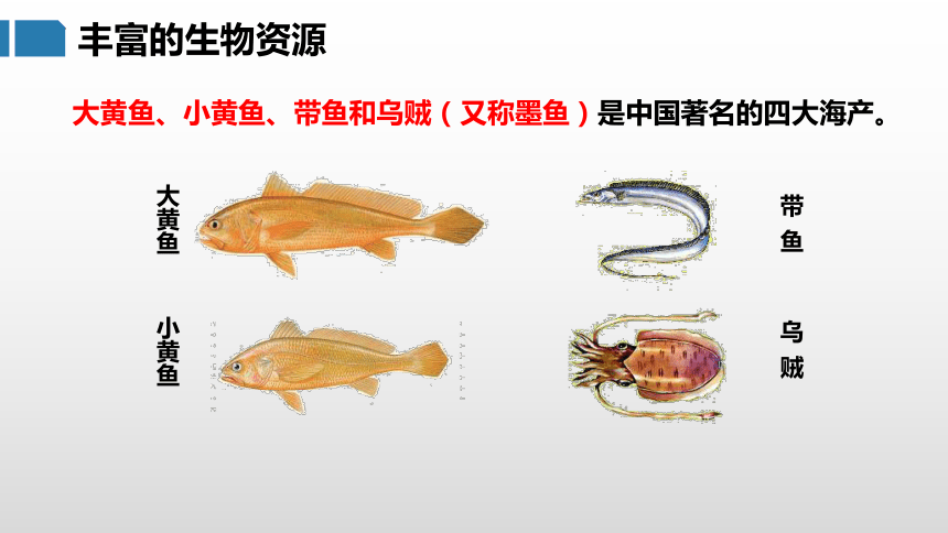 3.4 中国的海洋资源（课件）- 2022-2023学年八年级地理上册同步优质课件（湘教版）(共31张PPT)