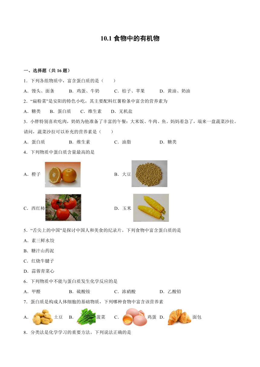 10.1食物中的有机物随堂练习-2021-2022学年九年级化学鲁教版下册（word版 含解析）