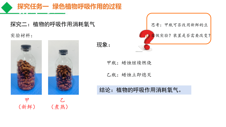 2021--2022学年人教版生物七年级上册 3.5.2 绿色植物的呼吸作用课件（共21张PPT）