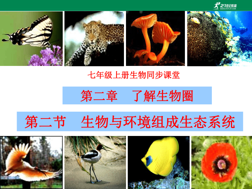 人教版七年级生物上册同步课堂系列1.2.2生物与环境组成生态系统 (备课件 )(共38张PPT)