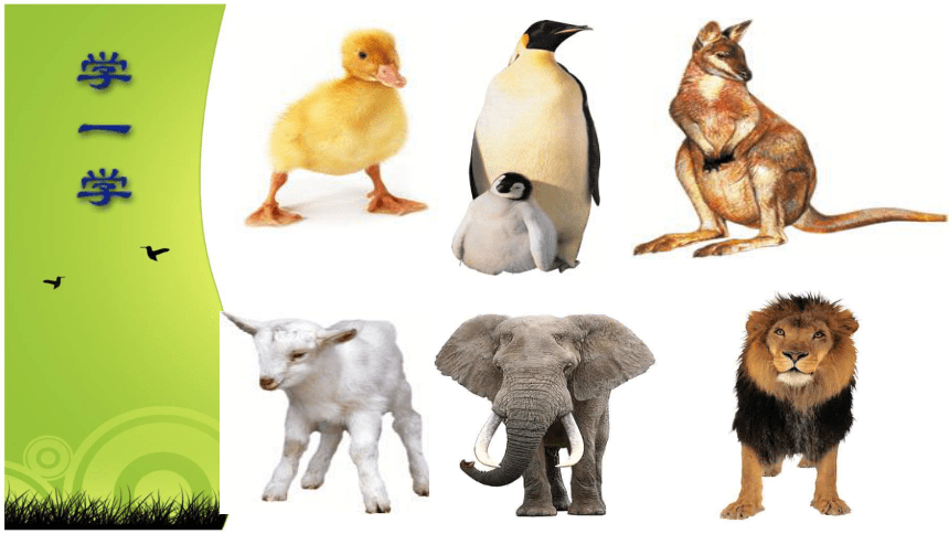 人美版（北京） 一年级下册美术课件-第9课 让动物站起来 （18张PPT）